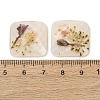 Transparent Resin Cabochons RESI-K033-12B-3
