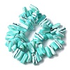 Dyed Natural Trochus Shell Beads Strands SSHEL-C013-09M-2