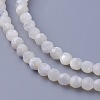 Shell Beads Strands SSHEL-E571-38-3mm-1