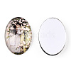 Glass Cabochons GGLA-T004-01R-2