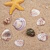 1 Box Scallop Seashells Clam Shell Dyed Beads with Holes for Craft Making 40-50pcs BSHE-YW0001-01-6