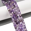 Natural Amethyst Beads Strands G-H087-D04-01-2