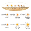 Natural Freshwater Shell Beads SHEL-YW0001-04A-2