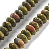 Natural Unakite Beads Strands G-P559-A06-02-1