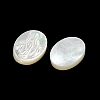 Carved Natural White Shell Cabochons SSHEL-N038-08B-2