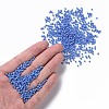 12/0 Glass Seed Beads X1-SEED-A010-2mm-43B-4