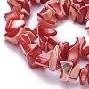 Freshwater Shell Beads Strands BSHE-L039-05-2