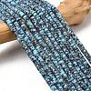 Dyed Synthetic Turquoise Beads Strands G-Z089-A04-S-2