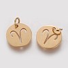 Ion Plating(IP) 304 Stainless Steel Pendants A-STAS-Q201-T445-1G-2