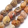 Natural Crazy Agate Beads Strands G-P301-04-1