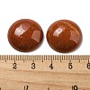 Natural Red Jasper Cabochons G-C115-02A-29-3