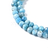 Natural Apatite Beads Strands G-P542-A07-02-4