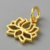Alloy Pendants FIND-WH0159-63G-05-2