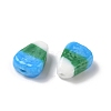 Handmade Lampwork Beads LAMP-Z014-01D-3