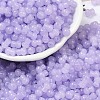 Transparent Colours Glass Seed Beads SEED-R001-01D-1