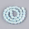 Handmade Foil Glass Beads Strands FOIL-Q002-05H-2