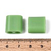 ABS Plastic Beads OACR-N156-07H-3