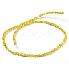 Natural White Shell Dyed Beads Strands BSHE-Z005-03F-2