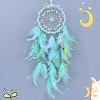 Woven Web/Net with Feather Decorations PW-WG13259-04-1