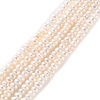 Natural Cultured Freshwater Pearl Beads Strands PEAR-I007-02F-01-2