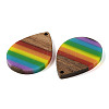 Pride Rainbow Theme Resin & Walnut Wood Pendants WOOD-K012-09B-2