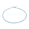 Natural Apatite Beaded Necklaces NJEW-JN02492-02-1