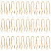 GOMAKERER 30Pcs Brass Earring Hooks KK-GO0001-70-1