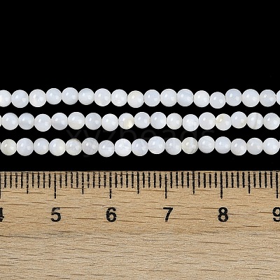 Natural Cultured Freshwater Shell Beads Strands BSHE-H109-03A-1