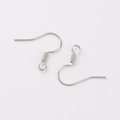 Iron Earring Hooks X-E133-S-1