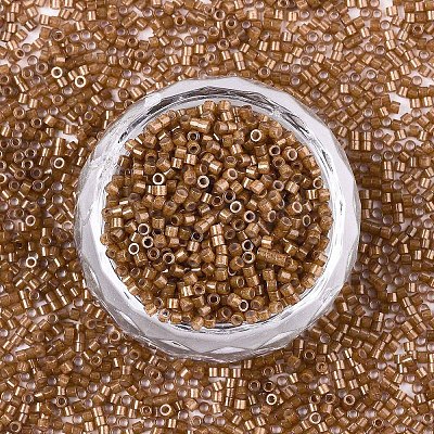 FGB 11/0 Grade A Baking Paint Glass Seed Beads X-SEED-S030-1146-1