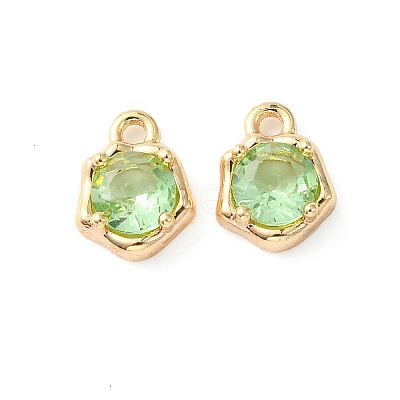 Brass Micro Pave Cubic Zirconia Charms KK-L208-10G-05-1