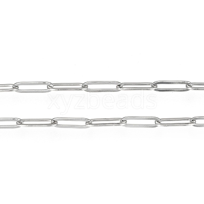Tarnish Resistant 304 Stainless Steel Paperclip Chains CHS-F010-01F-P-1