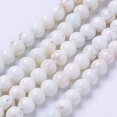 Natural Magnesite Bead Strands X-G-P286-10-6mm-1