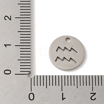 Non-Tarnish 201 Stainless Steel Charms STAS-E217-10P-07-1