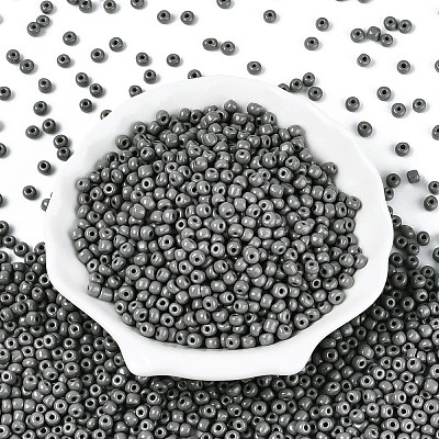 6/0 Baking Paint Glass Round Seed Beads SEED-S036-01C-09-1