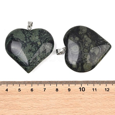 Natural Kambaba Jasper Pendants GG-K002-04G-1