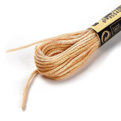 10 Skeins 6-Ply Polyester Embroidery Floss OCOR-K006-A55-1