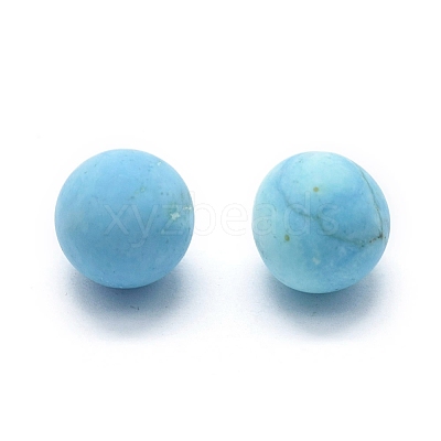 Dyed & Heated Natural Howlite Beads G-F678-27A-1