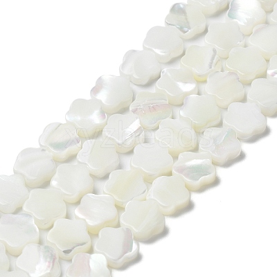 Natural Trochus Shell Beads Strands X-BSHE-P033-07-1