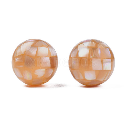 Natural Pink Shell Beads SHEL-N026-189A-01-1