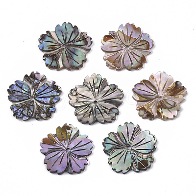 Natural Paua Shell/Abalone Shell Beads X-SSHEL-R046-02-1