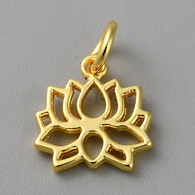 Alloy Pendants FIND-WH0159-63G-05-1