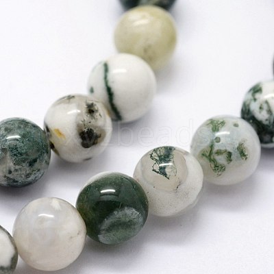 Natural Tree Agate Beads Strands X-G-I199-03-6mm-1