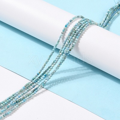 Natural Blue Opal Beads Strands LS-G-K315-B05-A-1