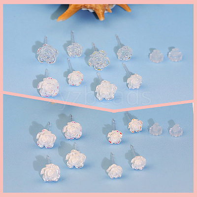 12 Pairs 6 Styles Resin Stud Earrings EJEW-SP0001-14-1