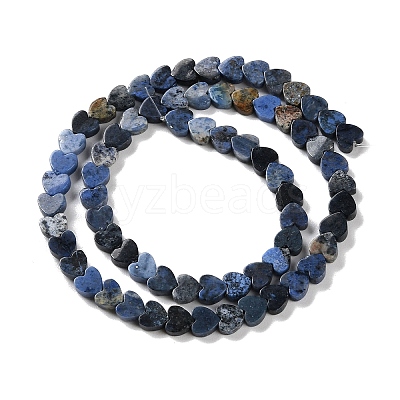 Natural Sodalite Beads Strands G-M403-A08-02-1
