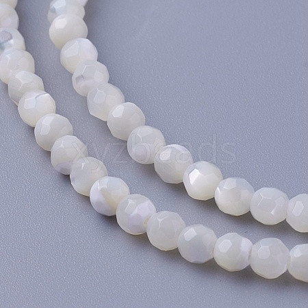 Shell Beads Strands SSHEL-E571-38-3mm-1