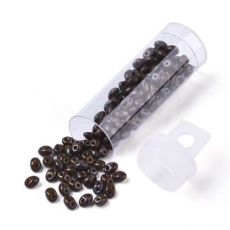 2-Hole Seed Beads SEED-R048-91430-1