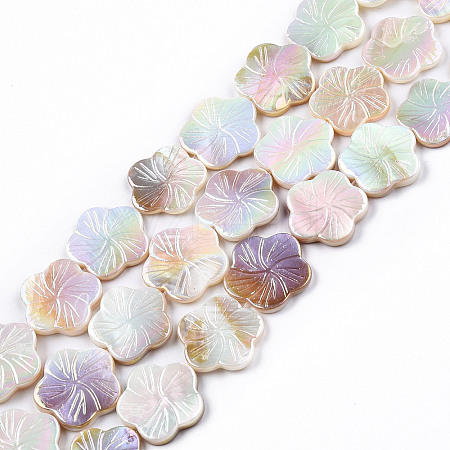 Electroplated Natural Freshwater Shell Beads Strands X-SHEL-N026-203B-01-1