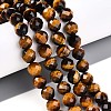 Natural Tiger Eye Beads Strands G-S345-8mm-22-2